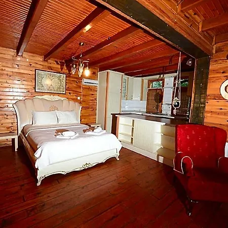 Sapanca Tas Ev &